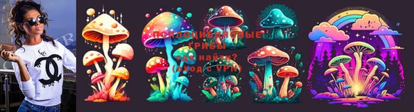 прущие крисы Алексеевка