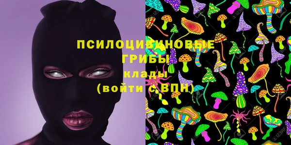 эйфоретик Аркадак