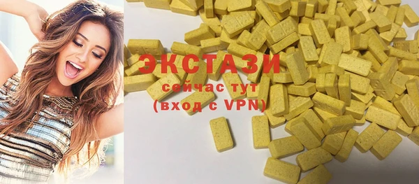 индика Арсеньев