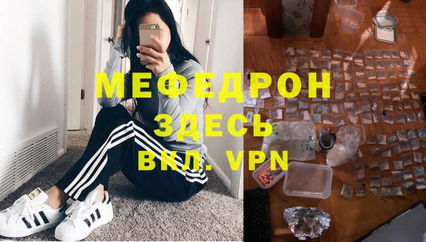 индика Арсеньев