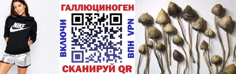 Купить закладки  Лермонтов  Галлюциногенные грибы мухоморы 